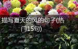 描写夏天风的句子
