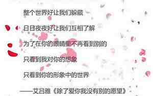 七夕的优美句子