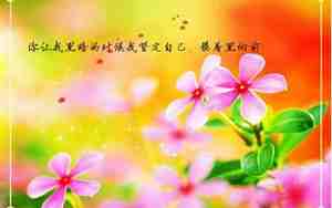 赞美的优美句子