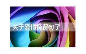 挽留的句子关于爱情感情