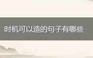表示时机的句子是