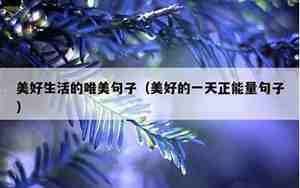 赞美生活态度的句子