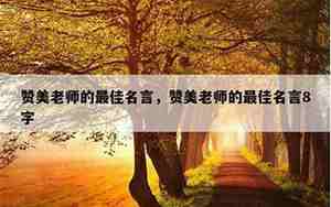 赞美老师品质的句子