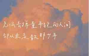 网络句子美丽大全