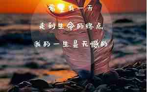 感悟旧照片唯美句子