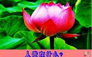 形容没素质人的句子