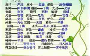 婚庆会所的反义词是什么