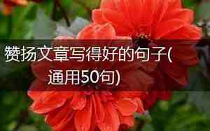 赞美作文写得好的句子