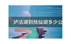 昭通到抚仙湖多少公里