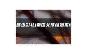 泰国结婚要多少彩礼