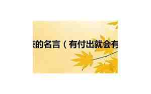 有付出就有收获句子