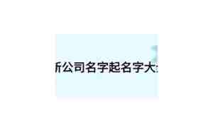 老公新公司名字