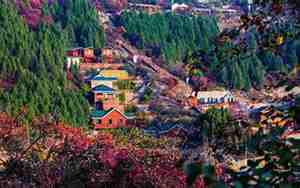 九龙峪风景区