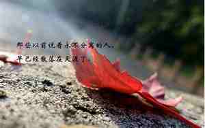 美女句子图片大全唯美伤感