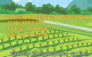 40000平方米等于多少亩