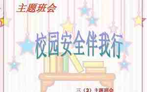 安全伴我行主题班会教案