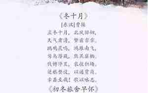 描写诗的句子