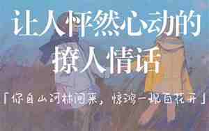 表白的长句子