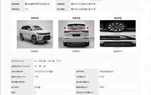 汽车申报表