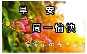 新的一周开始问候句子