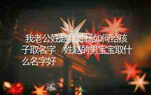 姓赵取什么好名字男孩子