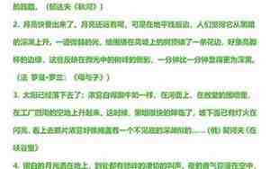 环境描写的句子一百字