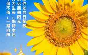 心情好发朋友圈的精美句子