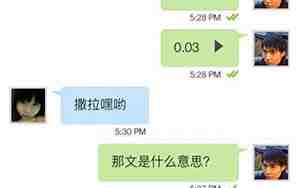 撒拉嘿的意思