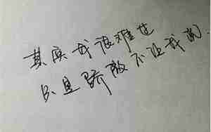 挺伤感的句子