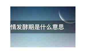 感情冷冻期是什么意思