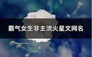 非主流霸气网名