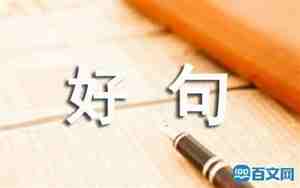 景物描写句子摘抄300