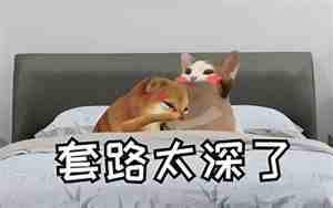 男友特别固执