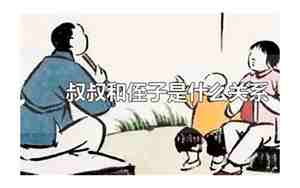 叔叔和侄子是什么关系