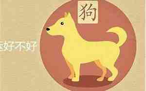 94年属狗的是什么命