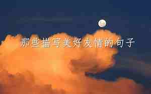 月影的美好句子