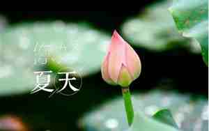 形容夏季的句子有哪些