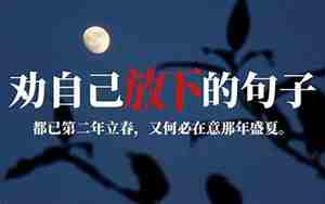 放下又舍不得的句子