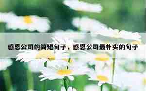 感恩顾客长辈的句子